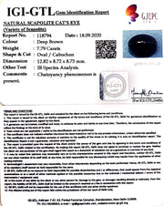 8.64 Ratti Natural Scapolite Cat's Eye with Govt. Lab Certified-(1221)